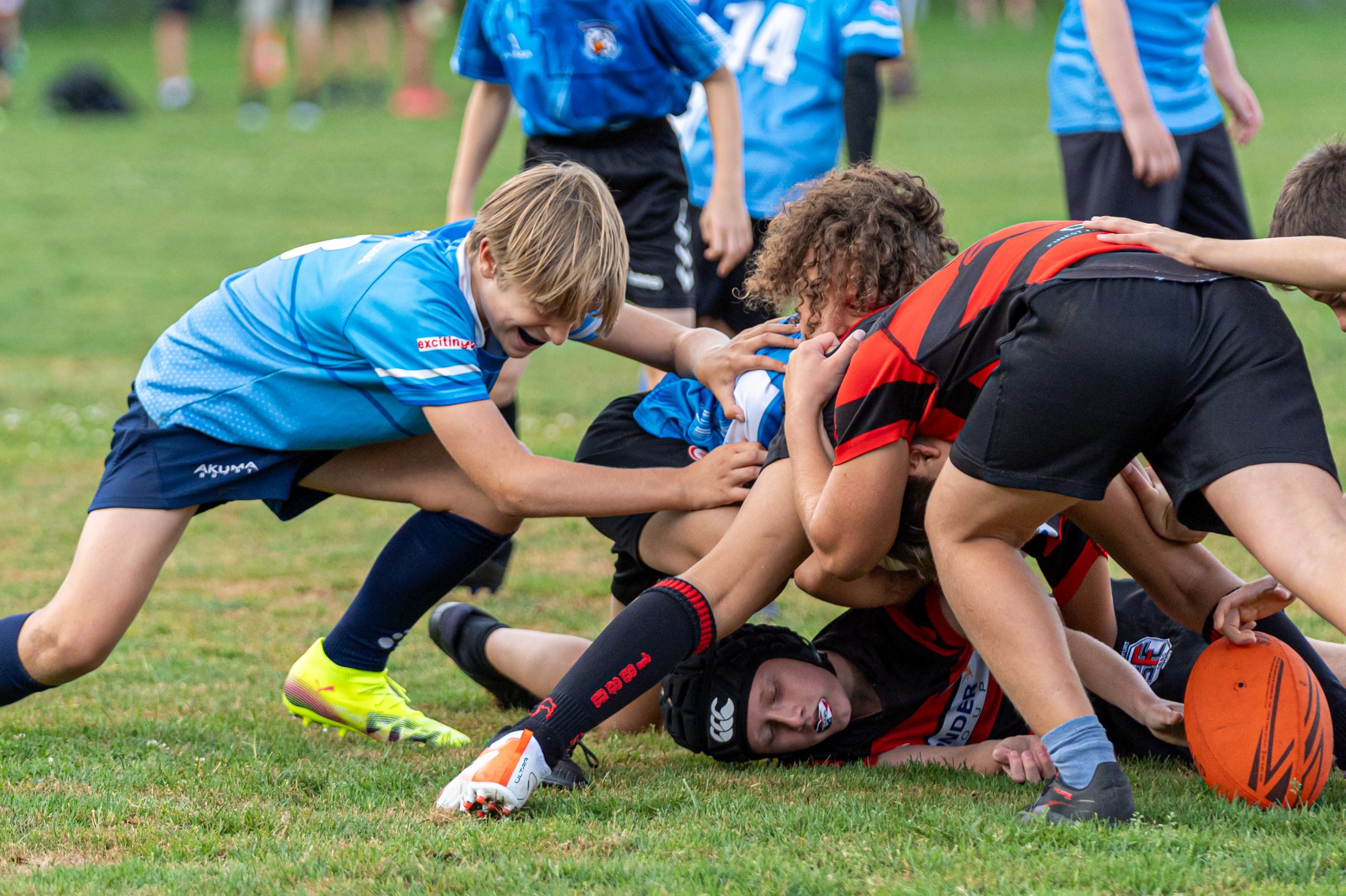 Die Dachse starten gut organisiert und bei bestem Rugby-Wetter in die neue Saison